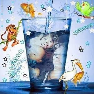 Meet your Posher, Tara